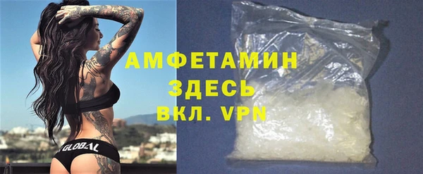 индика Алзамай