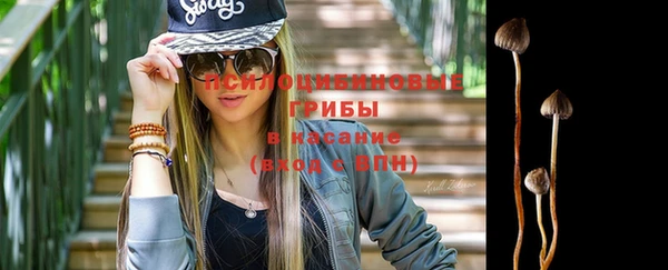 индика Алзамай