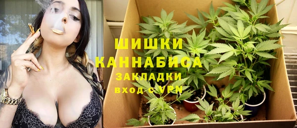 индика Алзамай