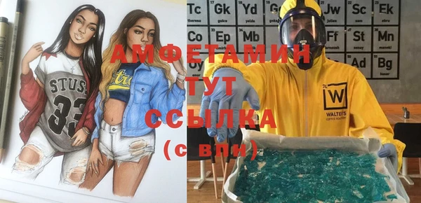 индика Алзамай